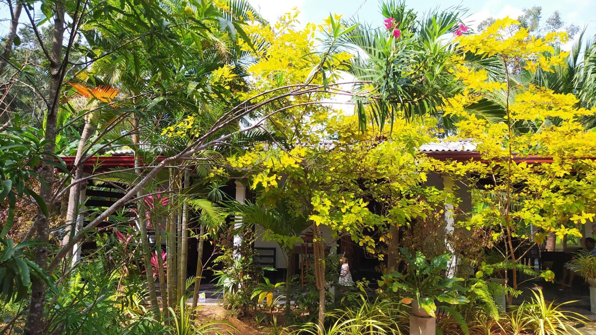 Yashi'S Place Sigiriya Exterior photo