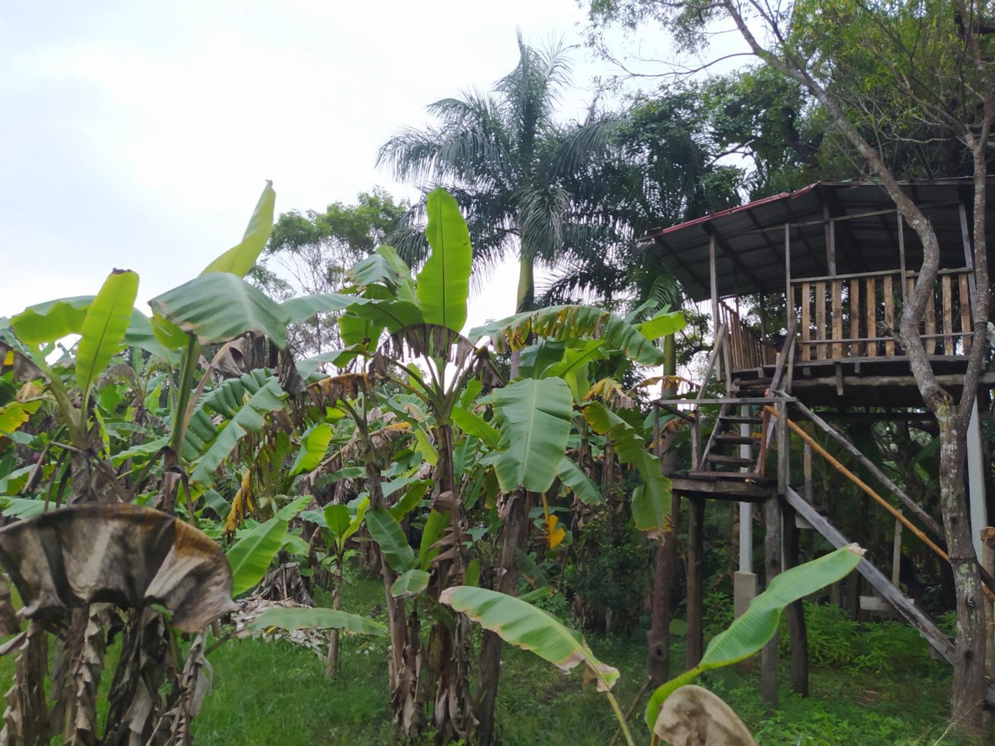 Yashi'S Place Sigiriya Exterior photo